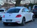 Volkswagen Beetle Beetle 1.6 CR TDi Design DSG Weiß - thumbnail 3