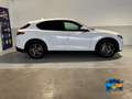 Alfa Romeo Stelvio 2.2 t Sport Tech rwd 160cv auto TAGLIANDI UFF Blanc - thumbnail 7