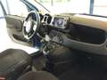 Fiat Panda Panda Cross 1.0 FireFly S&S Hybrid MY24 STK Bleu - thumbnail 12