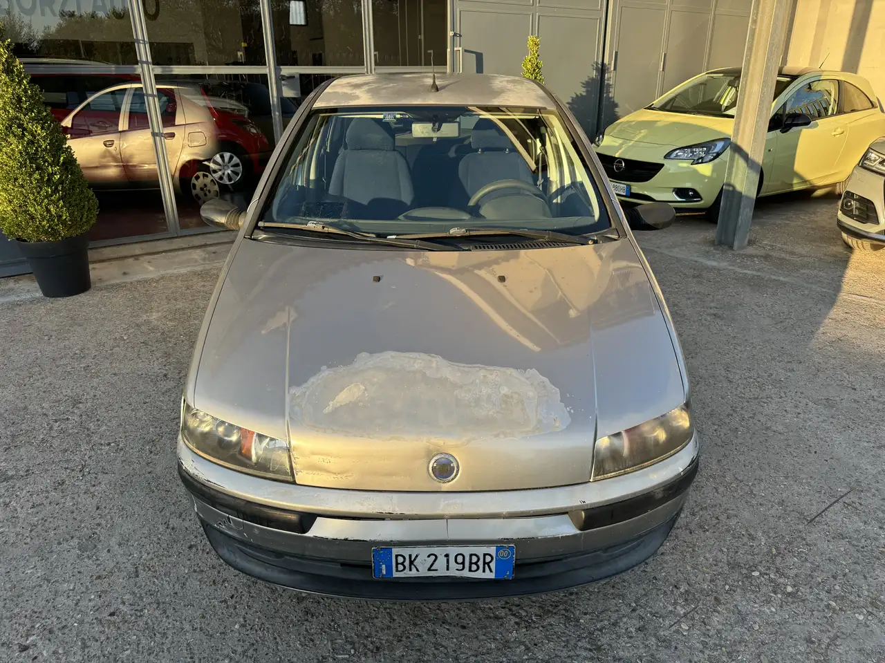 Fiat Punto 5p 1.2 SX CLIMATIZZATORE!!, foto 8