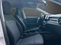 Skoda Fabia 1.0TSI DSG *Selection*LED+GRA+RFK+PDC+Stzhzg+BT+Ca Weiß - thumbnail 14