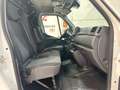 Renault Master Furgón T L2H2 3500 Bl dCi 100kW (135CV) Blanco - thumbnail 15
