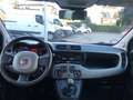 Fiat Panda 1.3 MJT S&S Lounge Blanco - thumbnail 11