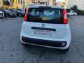 Fiat Panda 1.3 MJT S&S Lounge Blanco - thumbnail 5
