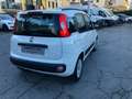 Fiat Panda 1.3 MJT S&S Lounge Blanco - thumbnail 4