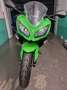 Kawasaki Ninja 300 ABS Verde - thumbnail 1