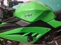 Kawasaki Ninja 300 ABS Verde - thumbnail 7