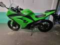 Kawasaki Ninja 300 ABS Verde - thumbnail 4