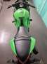 Kawasaki Ninja 300 ABS Verde - thumbnail 5
