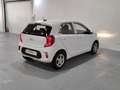 Kia Picanto 1.0 DPi Concept Blanco - thumbnail 26