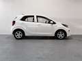 Kia Picanto 1.0 DPi Concept Blanco - thumbnail 3