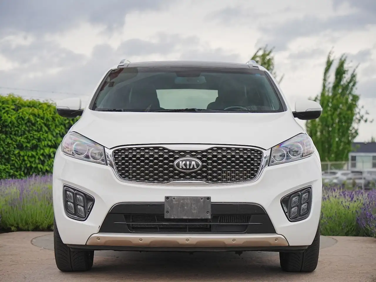Kia Sorento снимка Kia Sorento