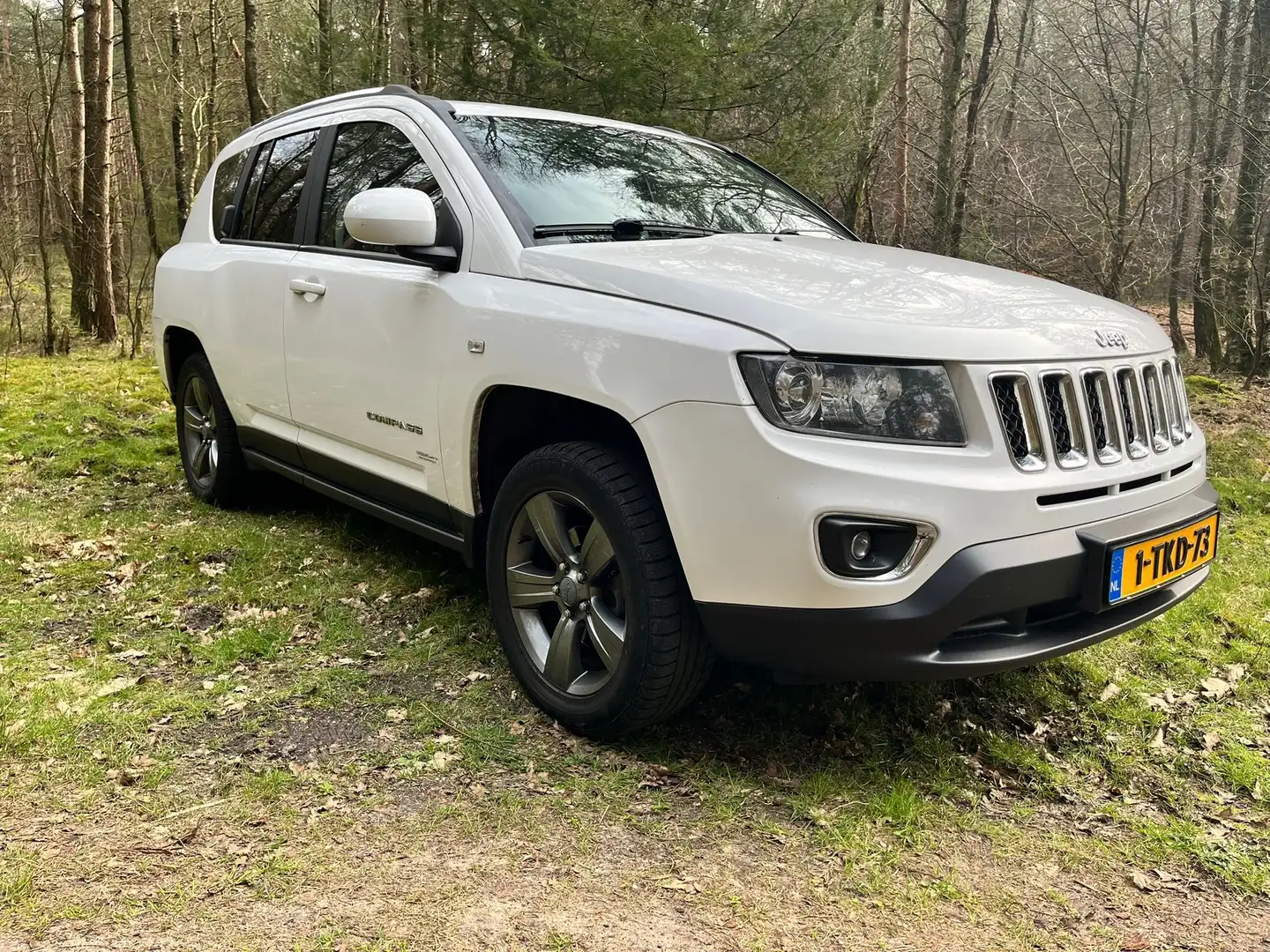 Jeep Compass 2.0 North Bns. Edit. White - 1