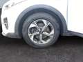 Kia XCeed Edition 1.4T-GDI Bi-LED-Scheinwerfer Weiß - thumbnail 15
