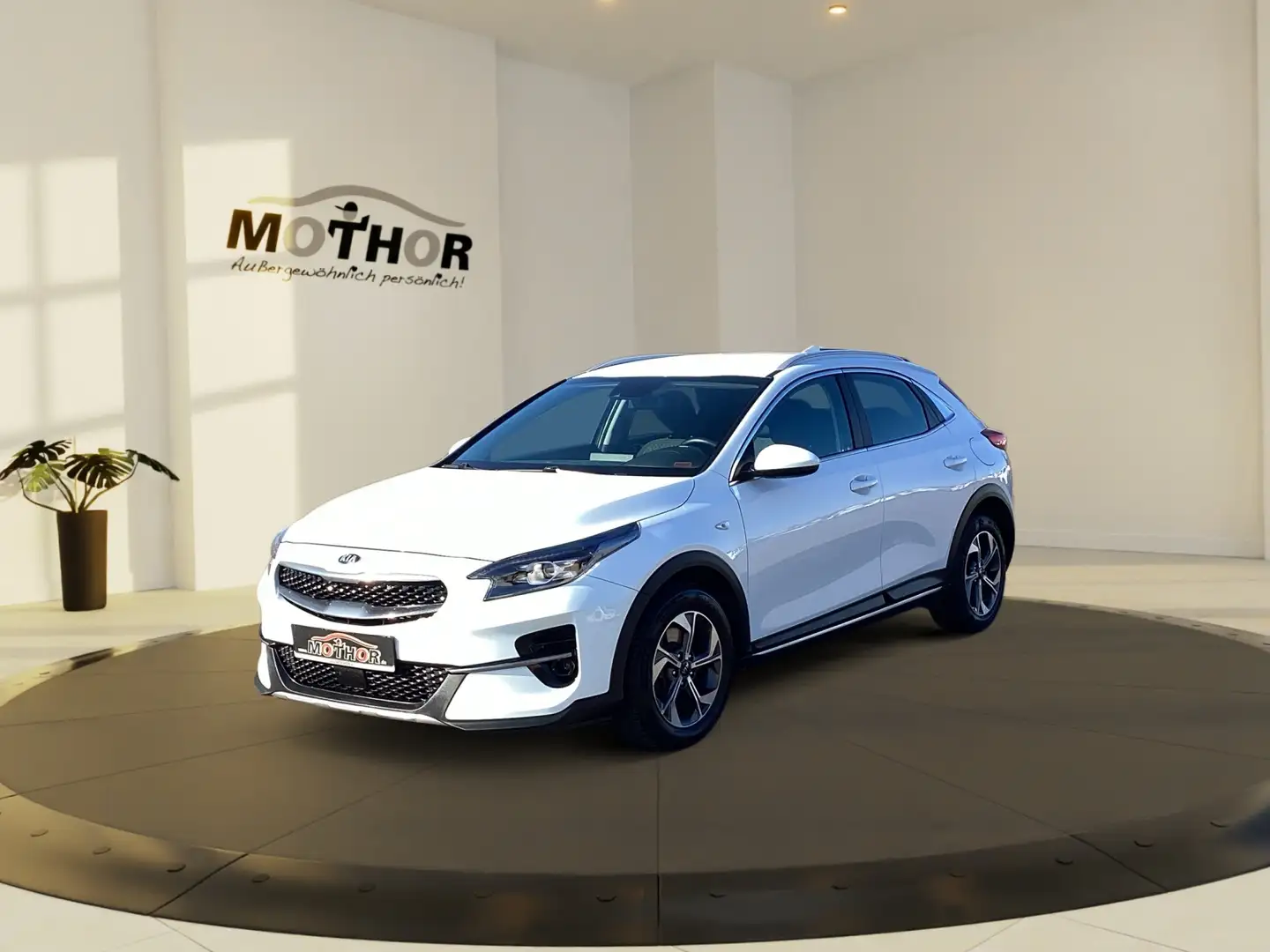 Kia XCeed Weiß - 2