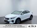 Kia XCeed Edition 1.4T-GDI Bi-LED-Scheinwerfer Weiß - thumbnail 1