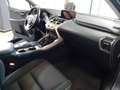 Lexus NX 300h Hybrid Business Gris - thumbnail 11