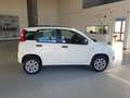 Fiat Panda 0.9 t.air t. natural power Pop 80cv E6 Blanc - thumbnail 2