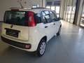 Fiat Panda 0.9 t.air t. natural power Pop 80cv E6 Blanc - thumbnail 4