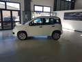 Fiat Panda 0.9 t.air t. natural power Pop 80cv E6 Blanc - thumbnail 3