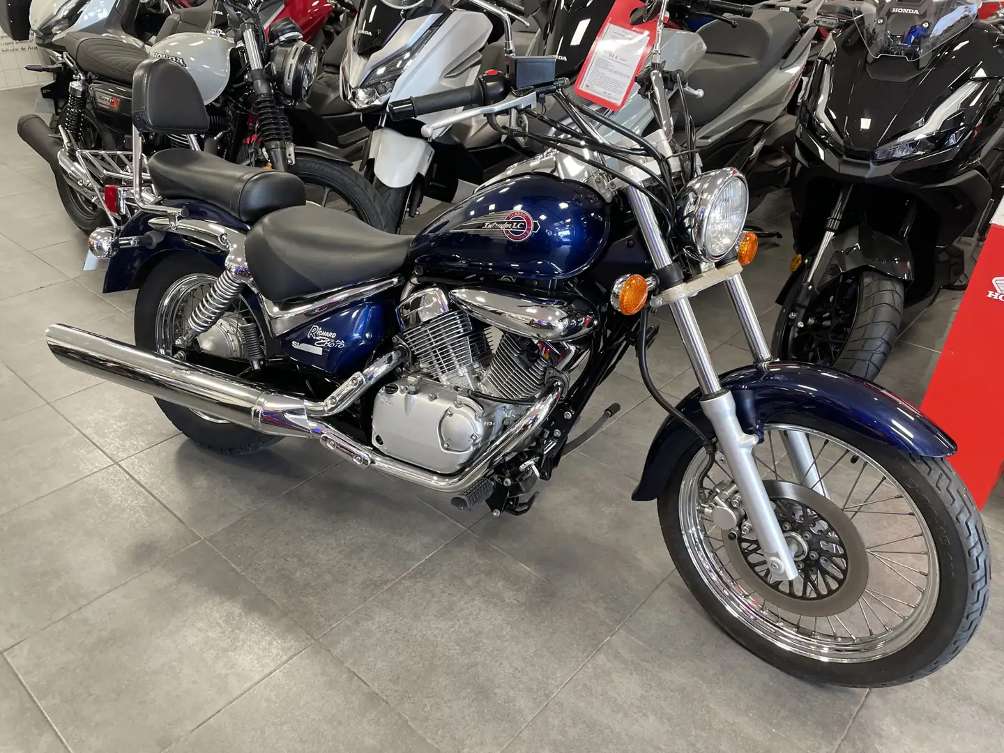 Suzuki Bleu - 1