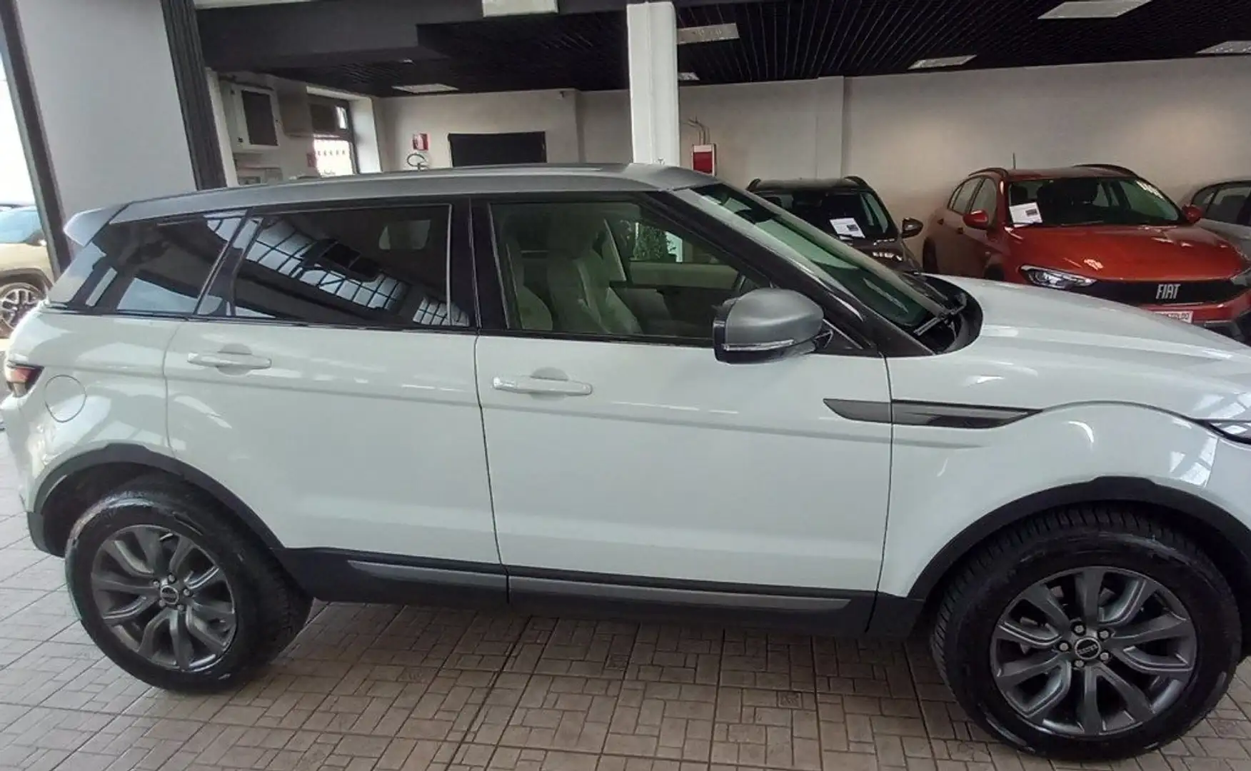 Land Rover Range Rover Evoque 2.2 TD4 5p. Dynamic Bianco - 2