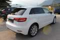 Audi A3 SB 1,6 TDI design Weiß - thumbnail 7