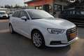 Audi A3 SB 1,6 TDI design Weiß - thumbnail 3