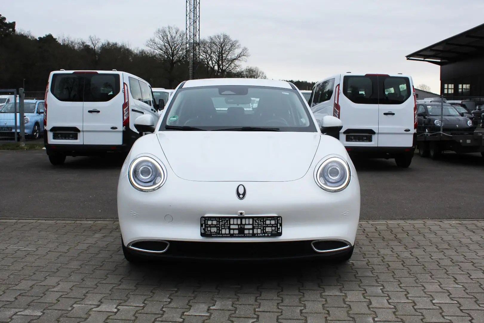 Ora Funky Cat ORA 03  300 (Allwetter) Weiß - 2