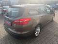 Ford Focus Turnier Business Zahnriemen Neu Braun - thumbnail 5