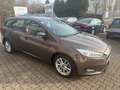 Ford Focus Turnier Business Zahnriemen Neu Braun - thumbnail 6