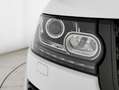 Land Rover Range Rover Range Rover 3.0 tdV6 HSE auto my16 E6 Weiß - thumbnail 14