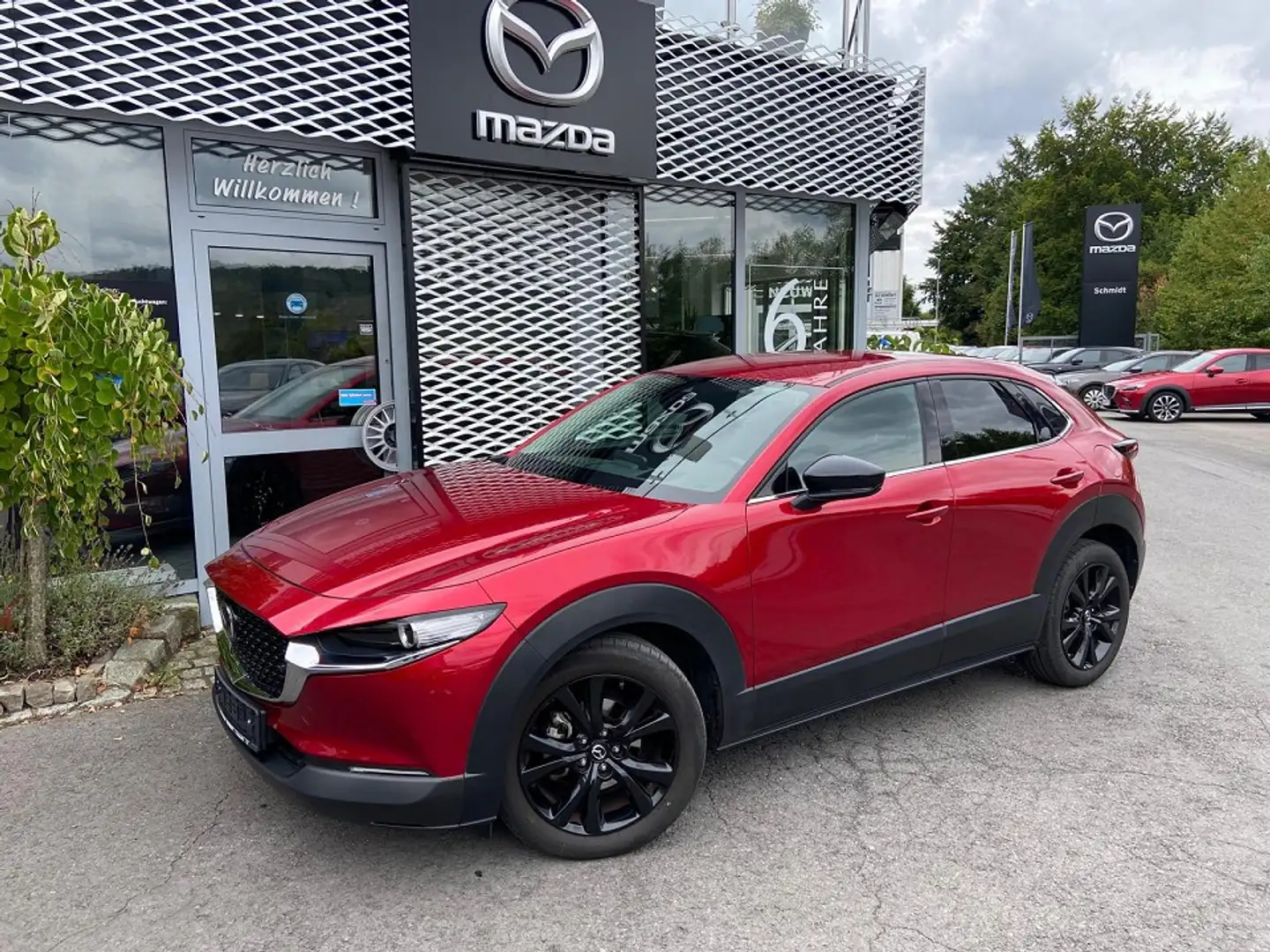 Mazda CX-30 Homura inkl. M+S Rouge - 1