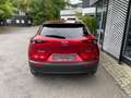 Mazda CX-30 Homura inkl. M+S Rouge - thumbnail 3
