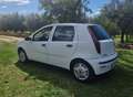 Fiat Punto 5p 1.2 natural power - thumbnail 4