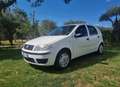 Fiat Punto 5p 1.2 natural power - thumbnail 1