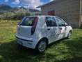 Fiat Punto 5p 1.2 natural power - thumbnail 3
