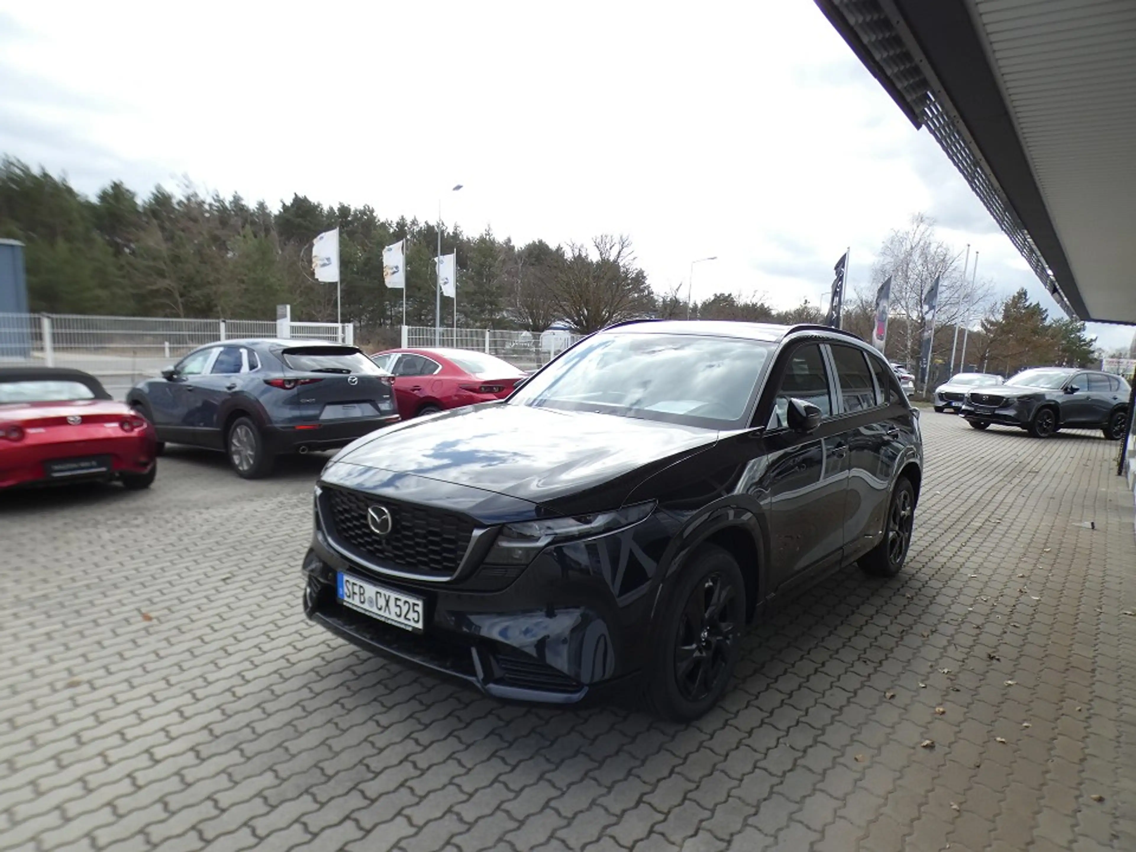 Mazda CX-5 2.5L e-SKYACTIV G 141ps Homura PANO BLOP — photo 2
