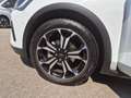 Ford Focus 1.0 Ecob. MHEV 114kW Active 155CV Blanco - thumbnail 11