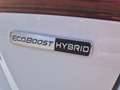 Ford Focus 1.0 Ecob. MHEV 114kW Active 155CV Blanco - thumbnail 23