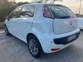 Fiat Punto Evo 5p 1.2 GPL Dynamic s Bianco - thumbnail 13