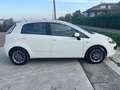Fiat Punto Evo 5p 1.2 GPL Dynamic s Bianco - thumbnail 7