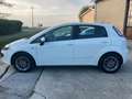 Fiat Punto Evo 5p 1.2 GPL Dynamic s Bianco - thumbnail 15