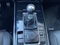 Mazda CX-30 2.0i 150PS M-Hybrid SELECTION DES-P PRE-P Grau - thumbnail 17