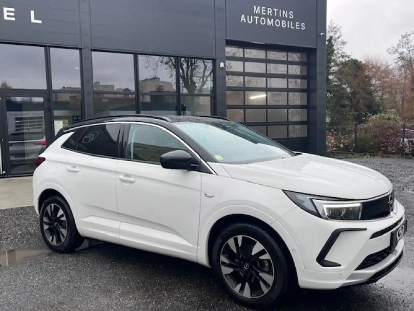 Opel Grandland 1.5 D 130ch Elegance Business BVA8 MY23 Blanc - 1