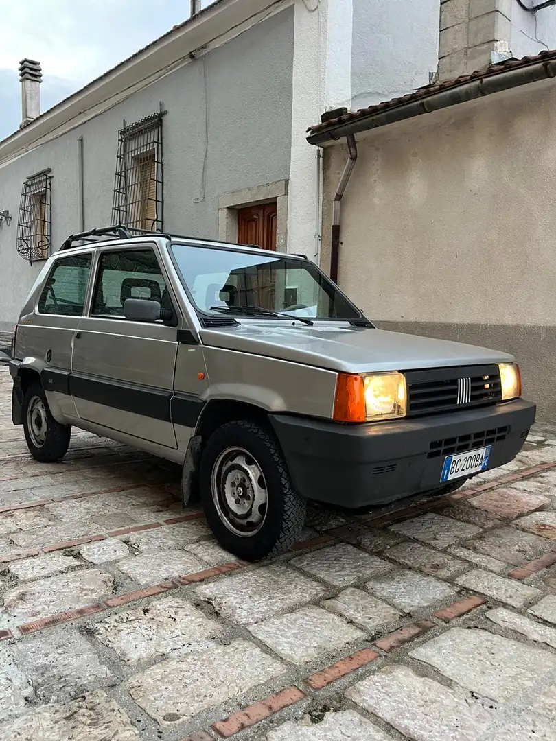 Fiat Panda 1.1 Trekking 4x4 Silber - 2