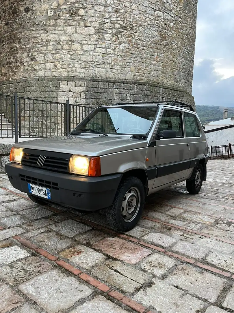 Fiat Panda 1.1 Trekking 4x4 Silber - 1
