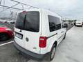 Volkswagen Caddy 2.0 TDI 110cv 4MOTION 4x4 GANCIO - FG216NX Bianco - thumbnail 6