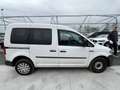 Volkswagen Caddy 2.0 TDI 110cv 4MOTION 4x4 GANCIO - FG216NX Bianco - thumbnail 7