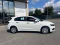 Fiat Tipo 1.6 Mjt S&S DCT 5 porte Easy Business Automatica Bianco - thumbnail 14